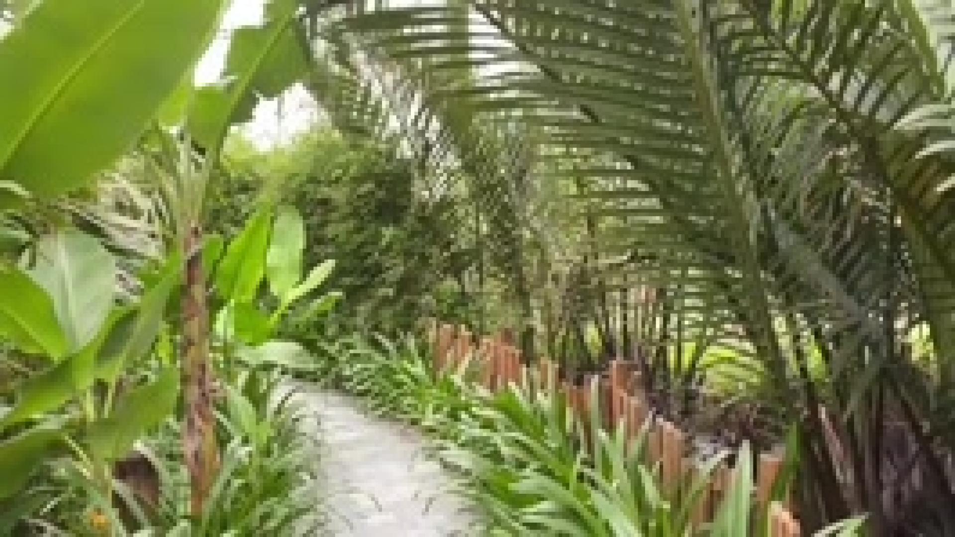 테스트 기사 수정  바위 <em class='find'>영상</em> -> 풀 <em class='find'>영상</em>  [비즈&] 교보생명, 광화문 글판 여름맞이 새 단장 外 , 분야 문화로 변경